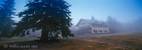 Bayerischer Wald