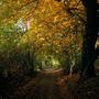 Mecklenburg - Vorpommern Herbst 98