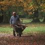 Mecklenburg - Vorpommern Herbst 98