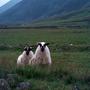 Schottland Aberdeen Lakedistrict London 74