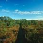 Ungarn 1999