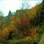 Radfahren Böhmische Schweiz Herbst 2008