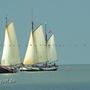 westfriesische Inseln Segeltörn 2011