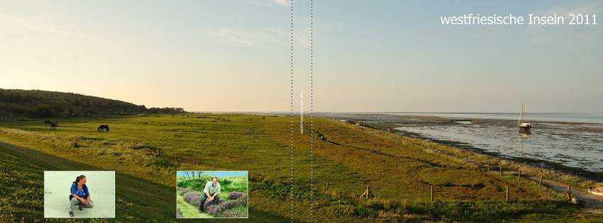 westfriesische Inseln