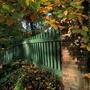 Mecklenburg - Vorpommern Herbst 98